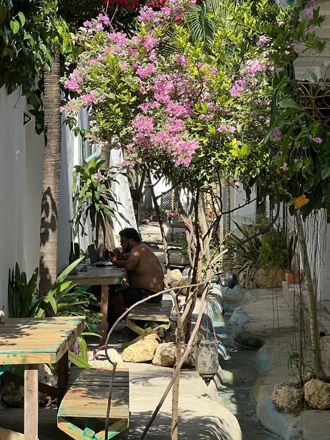 Hostel Casa Torices Real 12 Pansiyon Cartagena Kolombiya