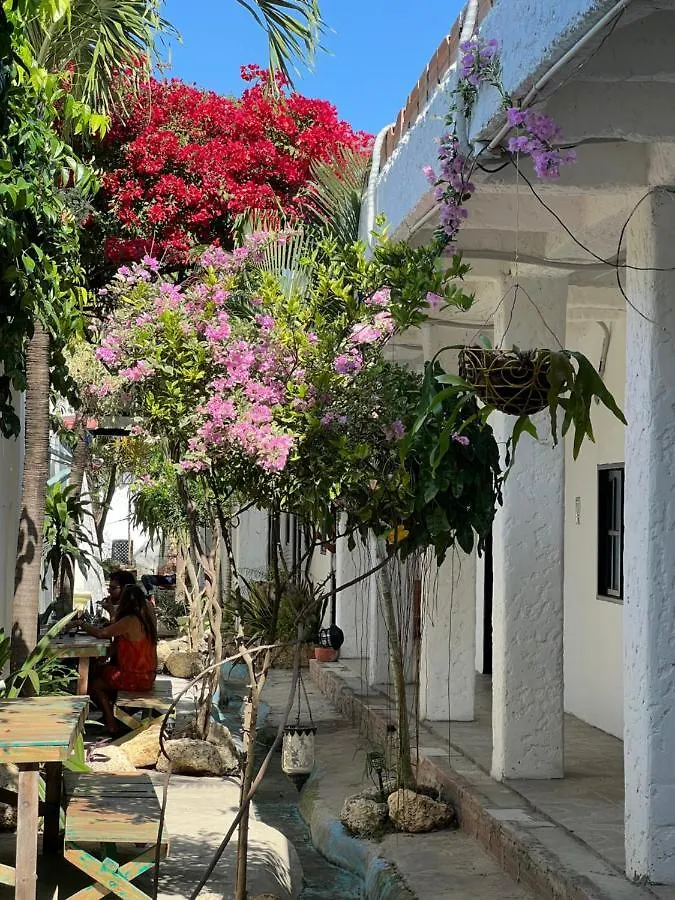 Casa Torices Real 12 Pansiyon Cartagena Hostel