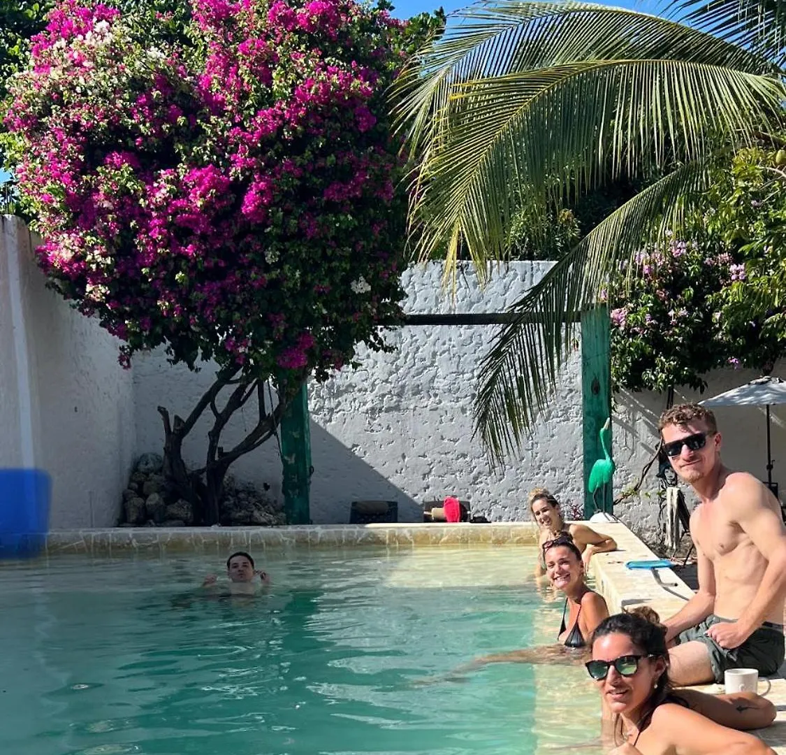 Hostel Casa Torices Real 12 Pansiyon Cartagena