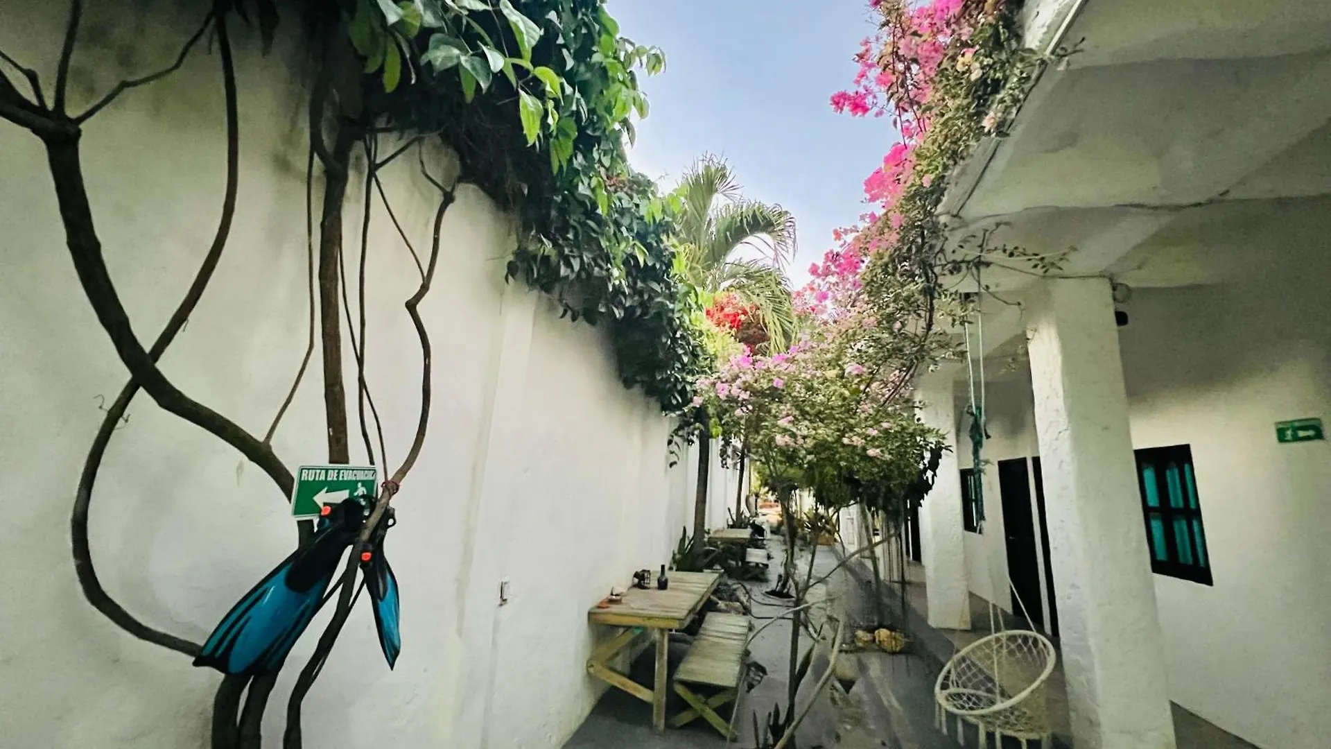 Hostel Casa Torices Real 12 Pansiyon Cartagena